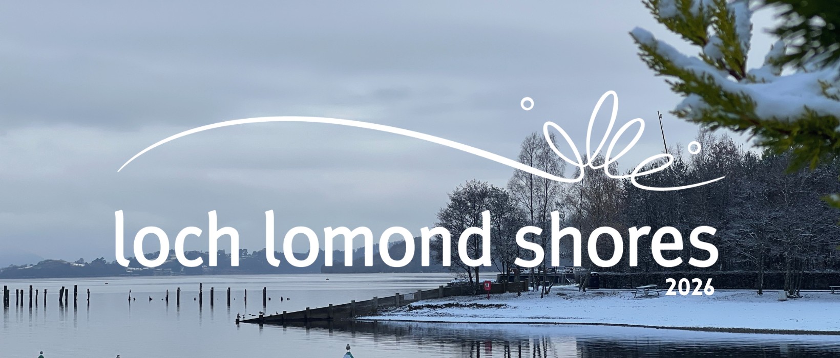 January Newsletter Cover