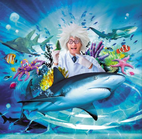 Loch Lomond SEA LIFE Aquarium - Loch Lomond Shores