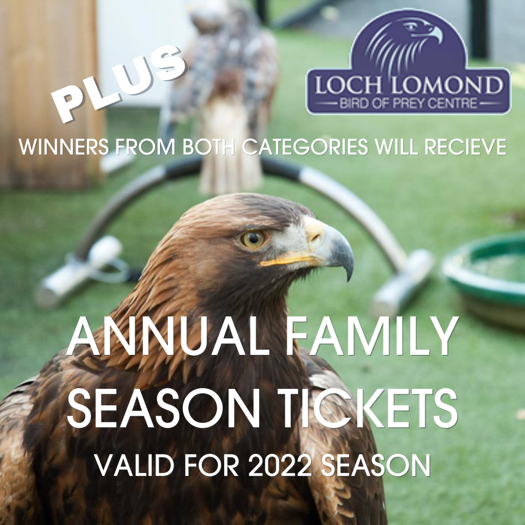Over & Under 16s Additional Prize - Bird of Prey Centre Family pass 