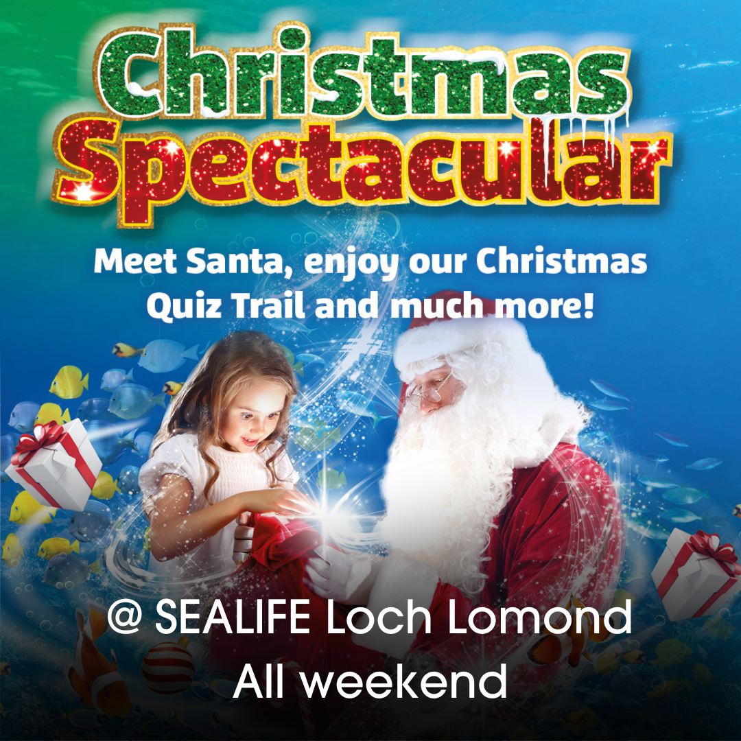 Santa @SeaLife