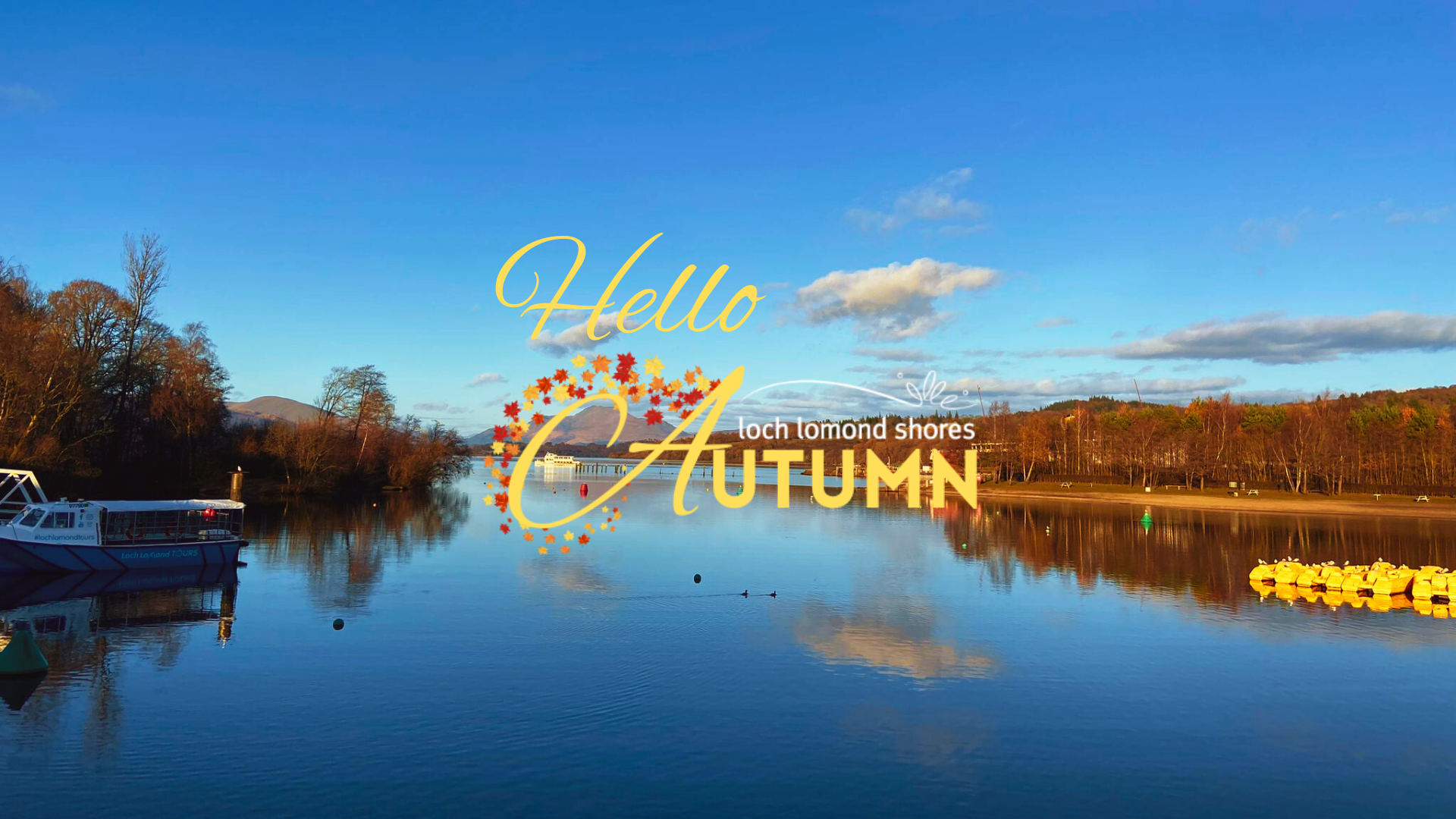 What’s On this October