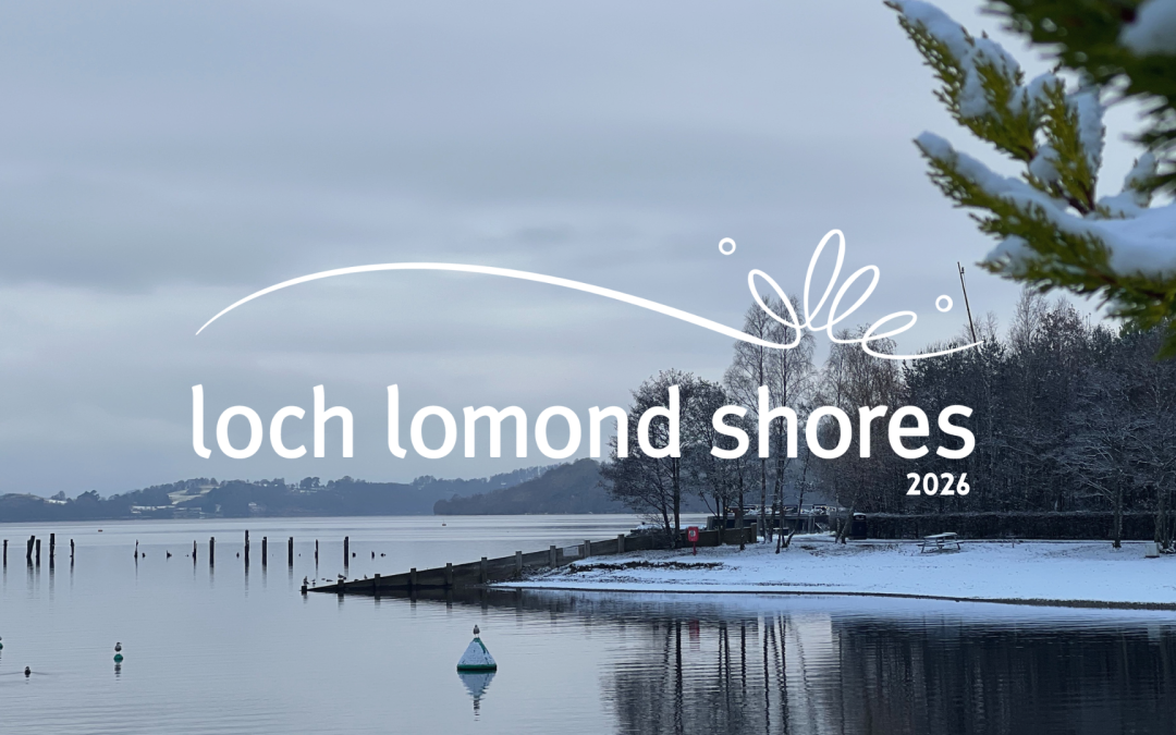 New Year, New Adventures at the Shores!