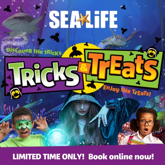 Visit the SEALIFE Ascarium this October!