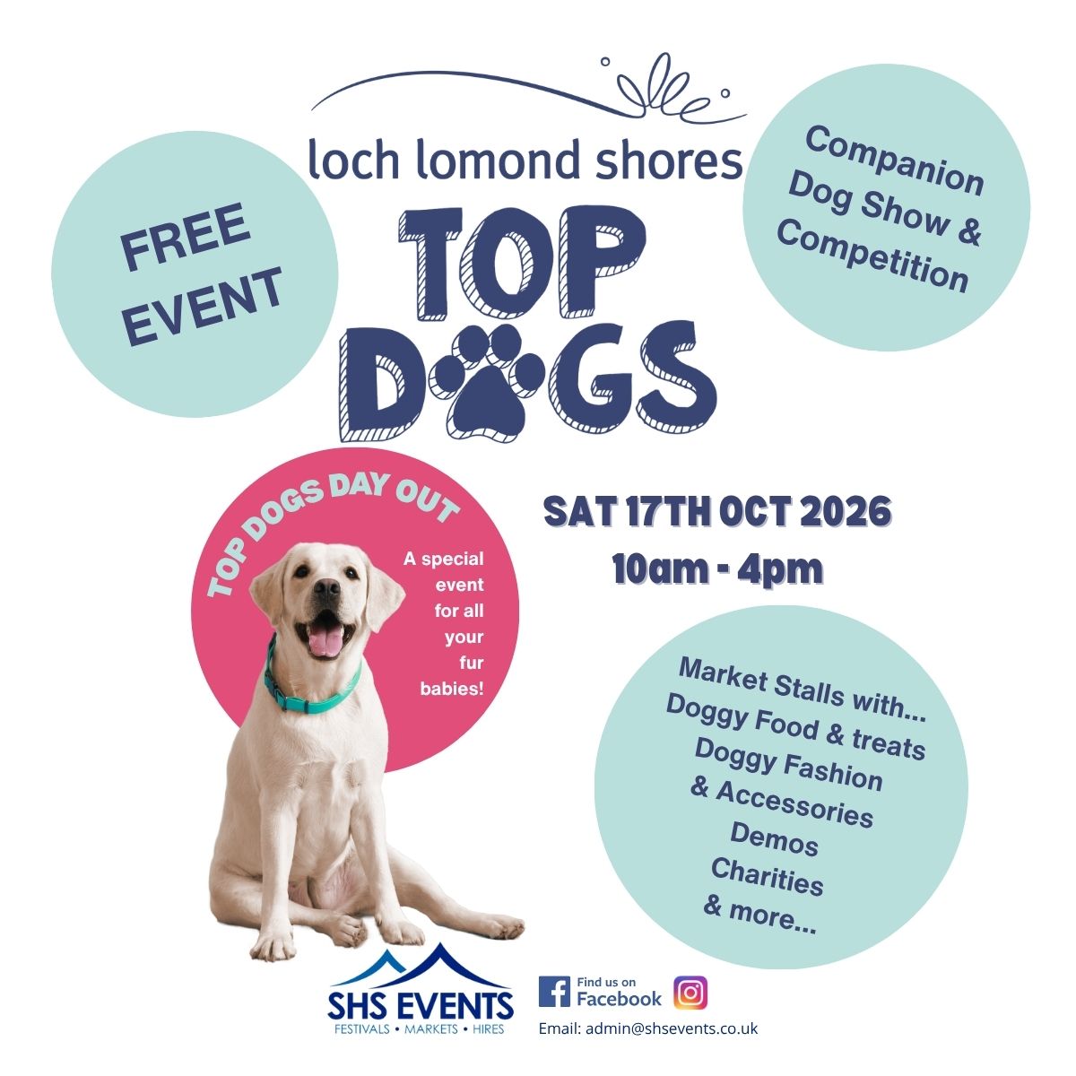 TOP DOGS is back